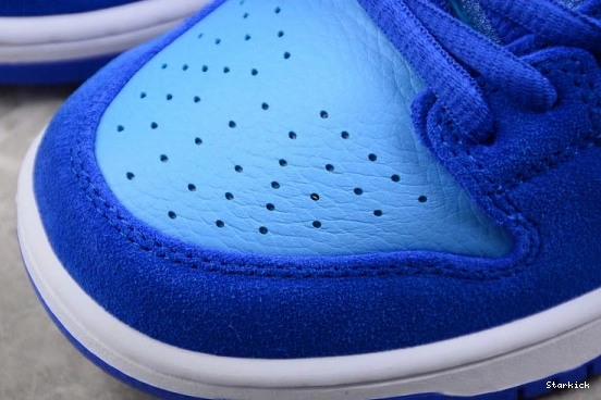 Low Nike Raspberry Dunk SB DM0807-400 Blue 0121